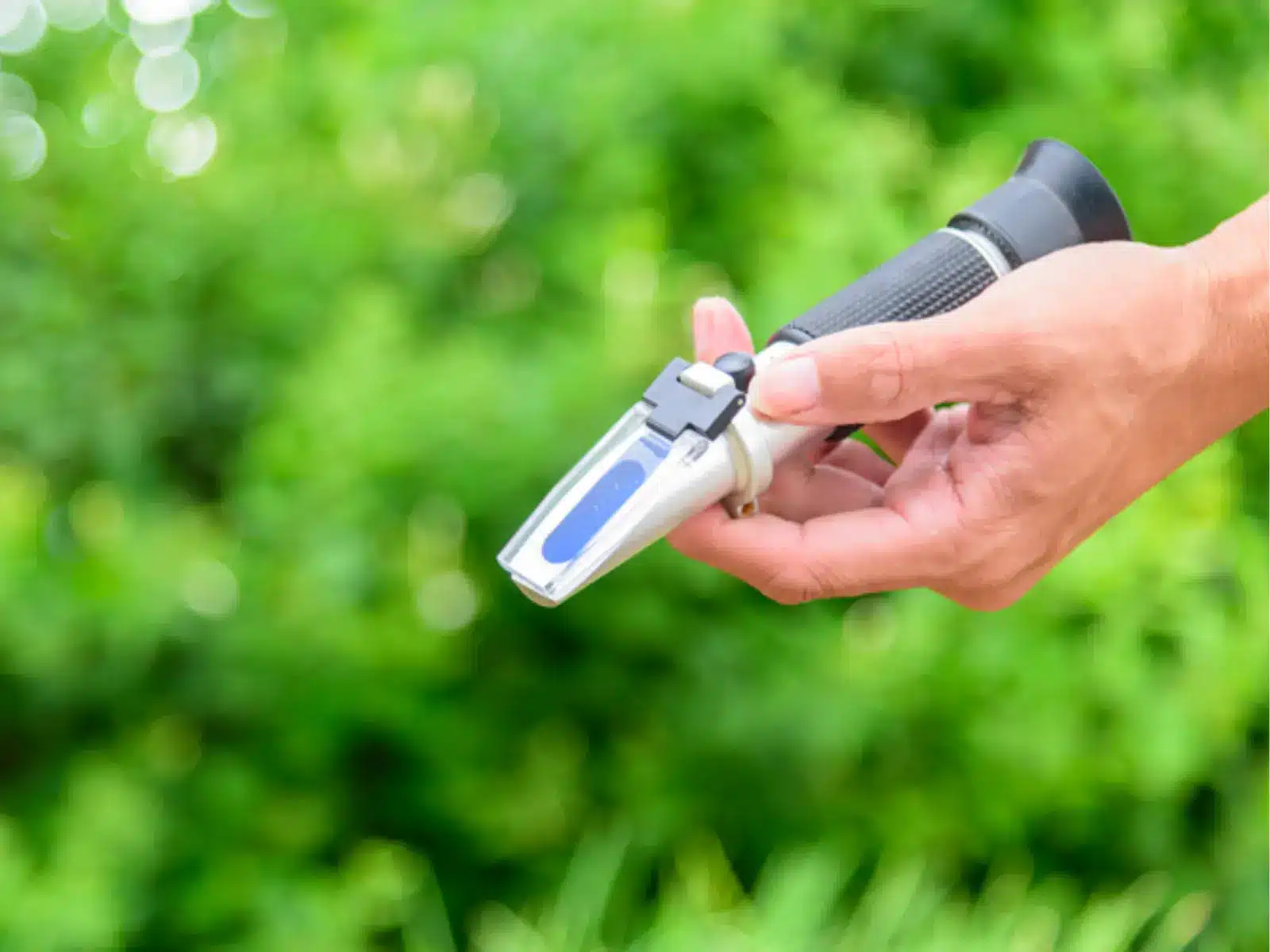 Monitoring Brix levels is essential for citrus fruit juices